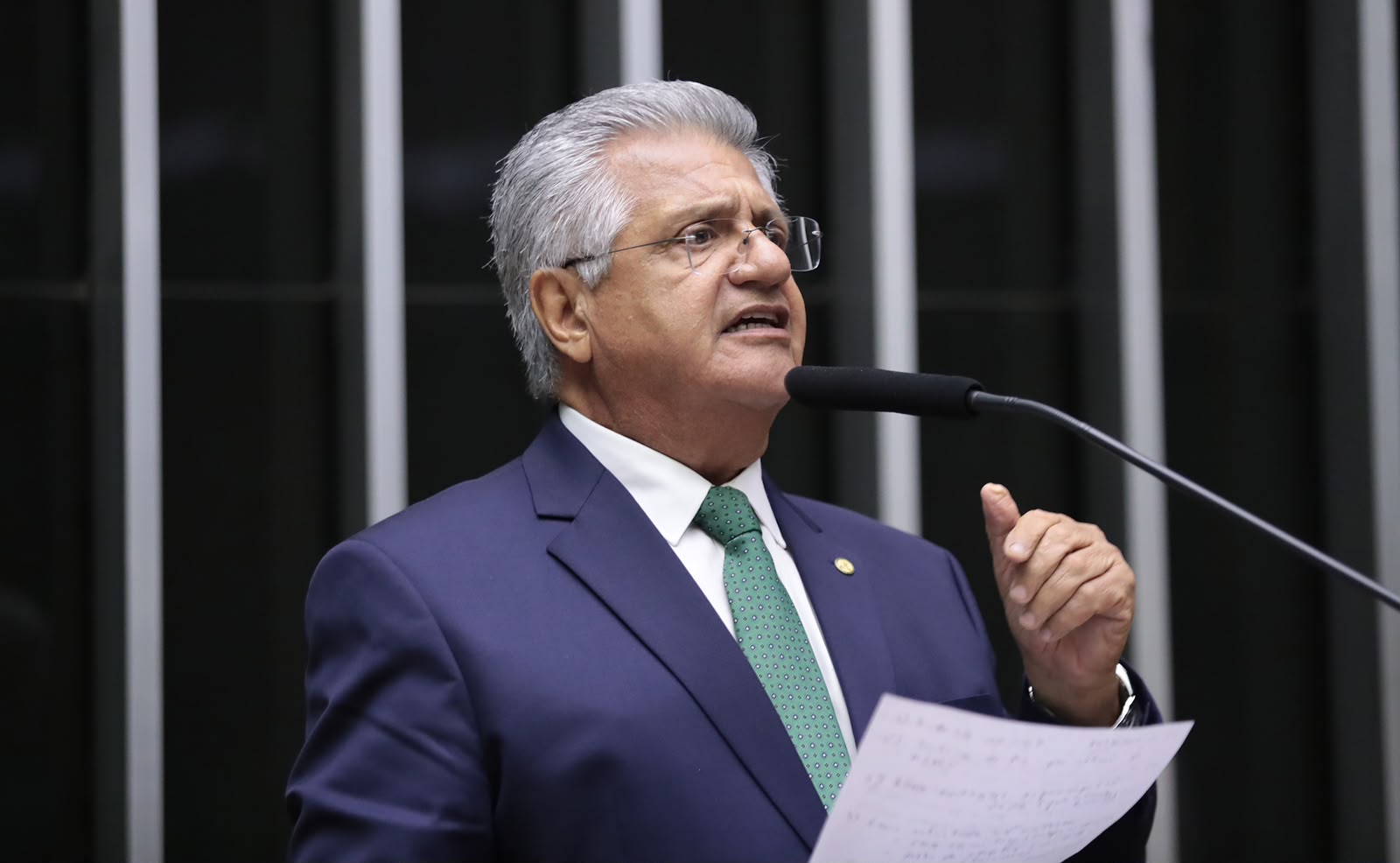 Bacelar propõe investimento para fortalecer a integração entre arborização urbana e redes elétricas