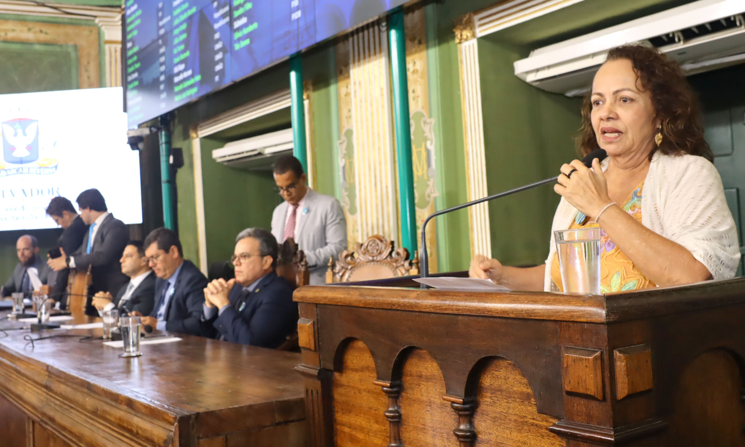 "Não podemos permitir em nossa cidade apologia ao crime de extermínio de comunidades inteiras", dispara Aladilce