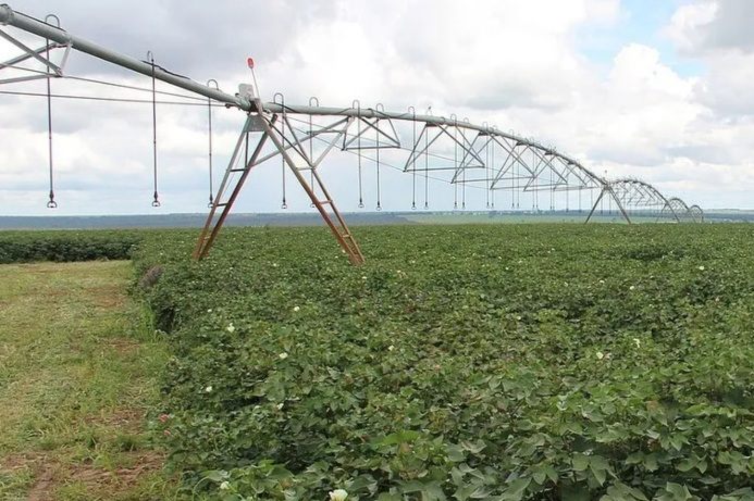 São Desidério e Formosa do Rio Preto estão entre os maiores produtores agrícolas do Brasil
